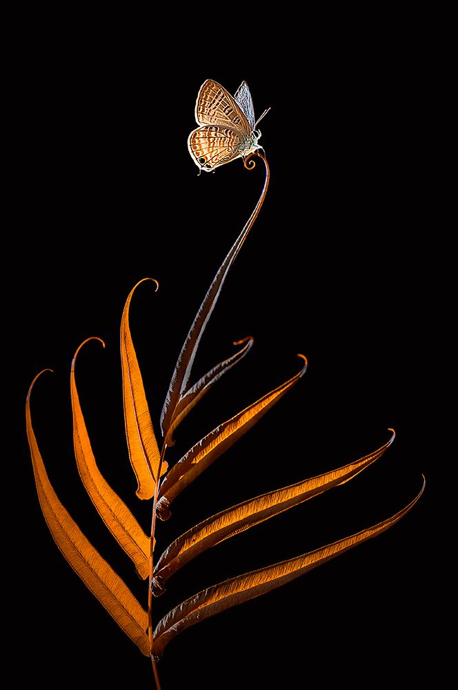 Similar wall art painting: 586487