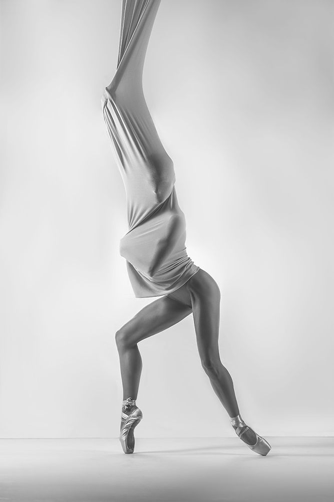 Wall art: Cocoon, by Koztowski, tukasz