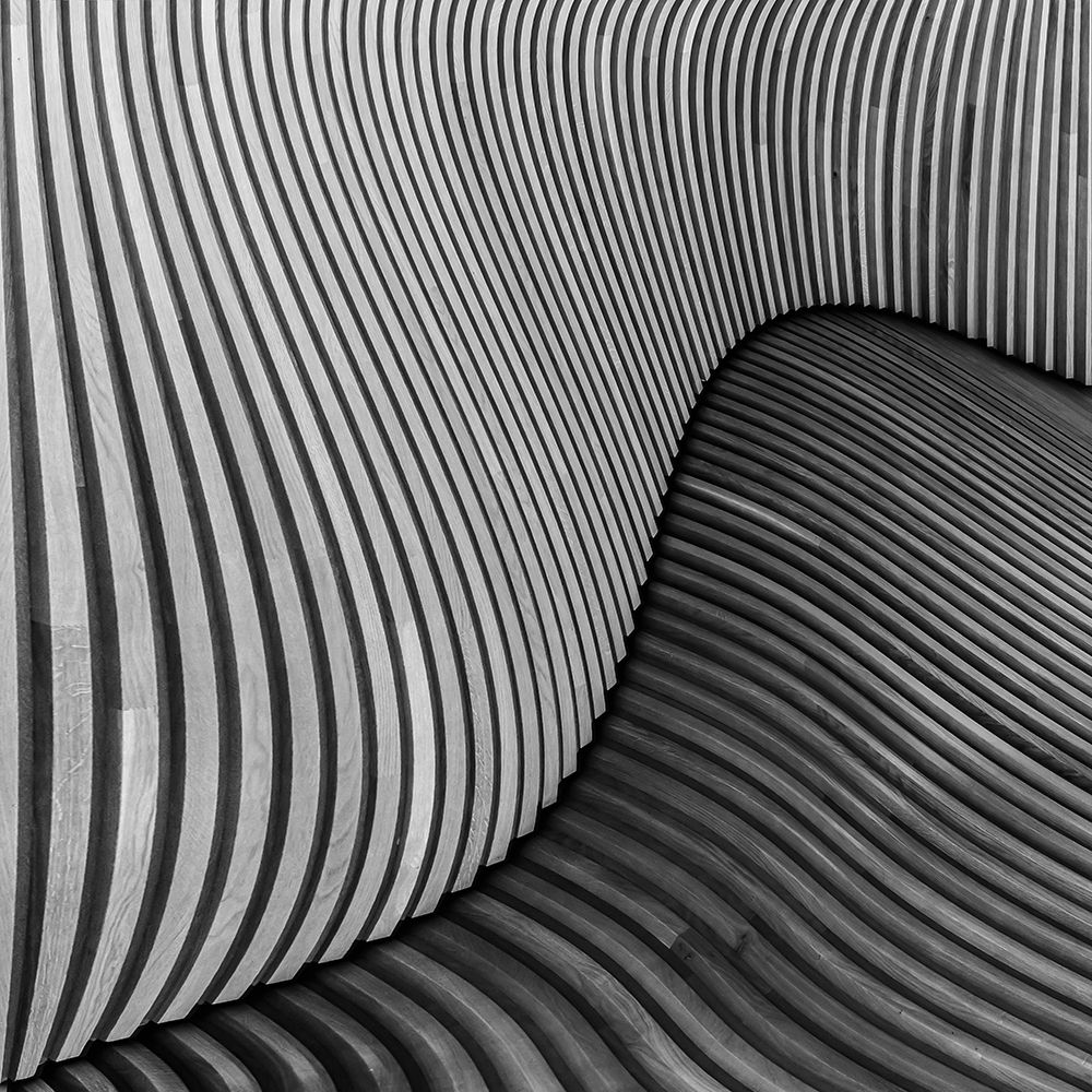 Art Print: The Wood Project I - Tangled Wood