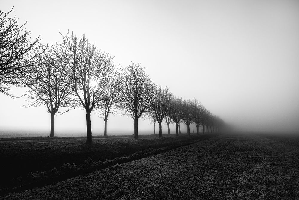 Art Print: Losing Sight