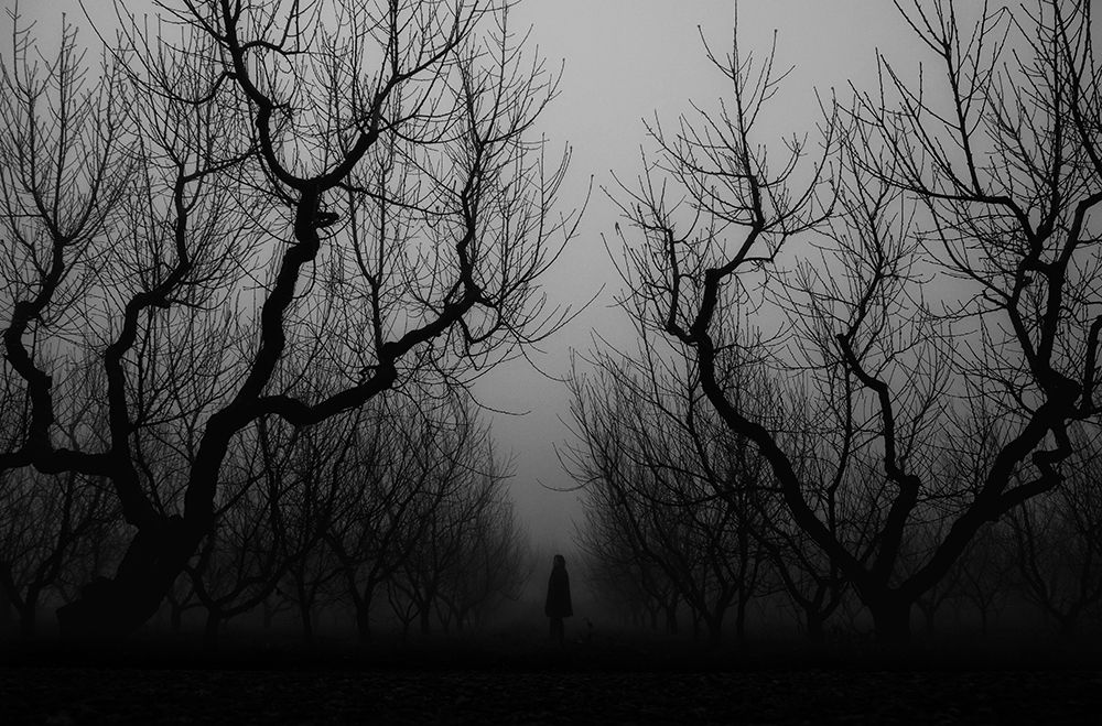 Similar wall art painting: 697756