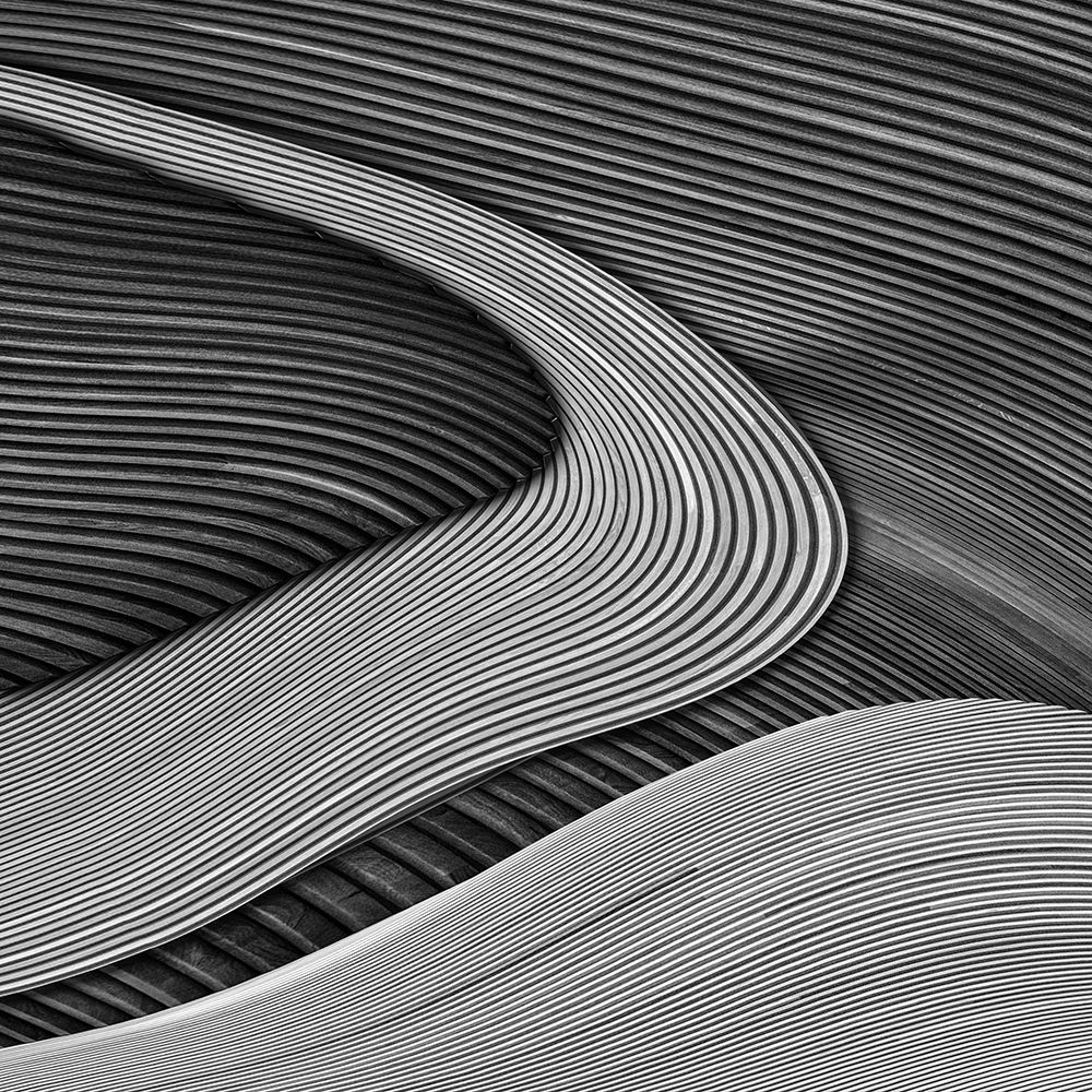 Art Print: The Wood Project Iii - Zen Garden