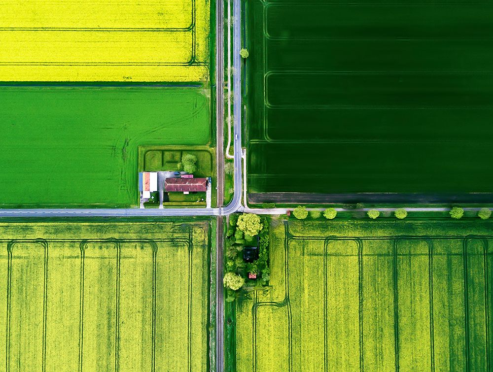 Similar wall art painting: 698256