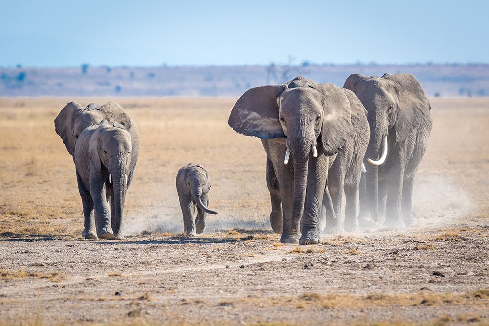 Art Print: The gods of yesteryear.