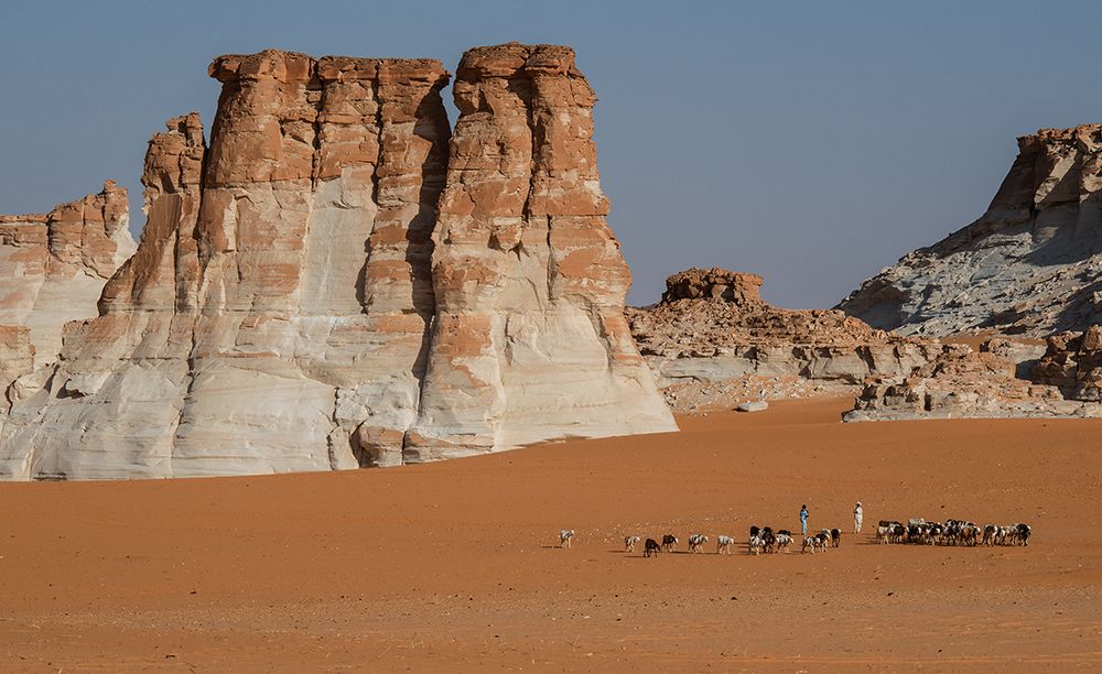 Similar wall art painting: 586684