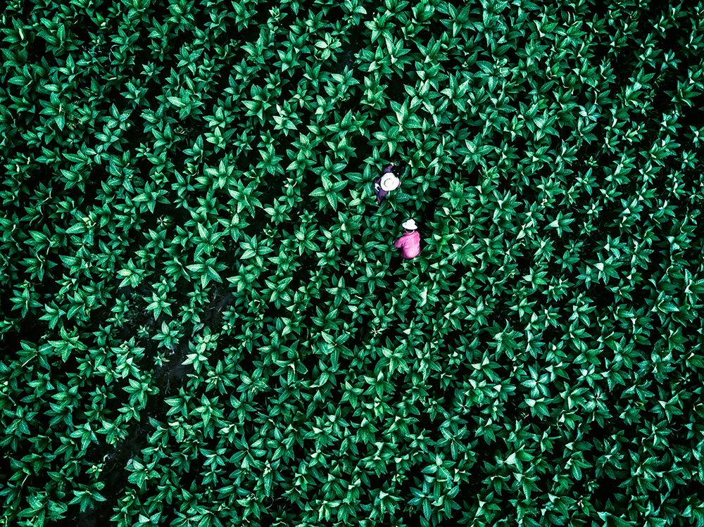 Similar wall art painting: 465431