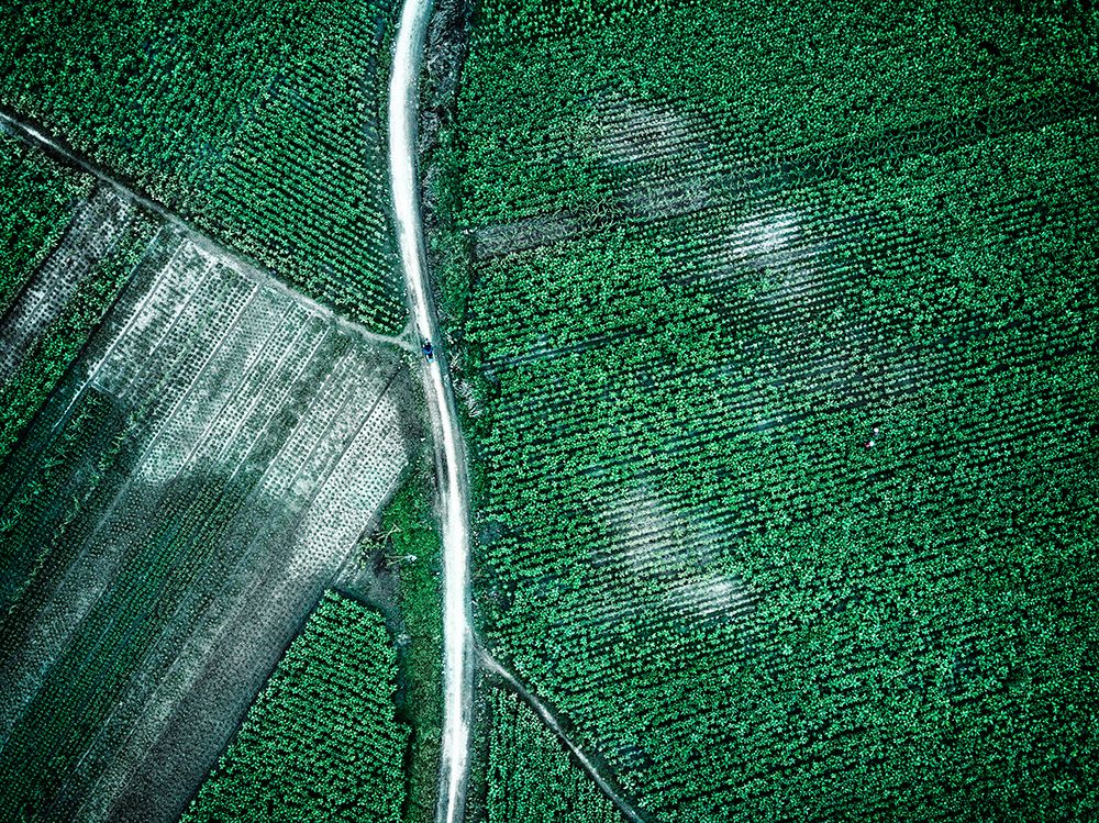 Similar wall art painting: 465432