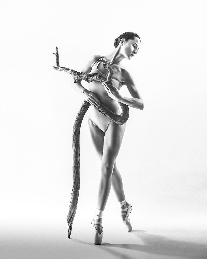 Similar wall art painting: 504937