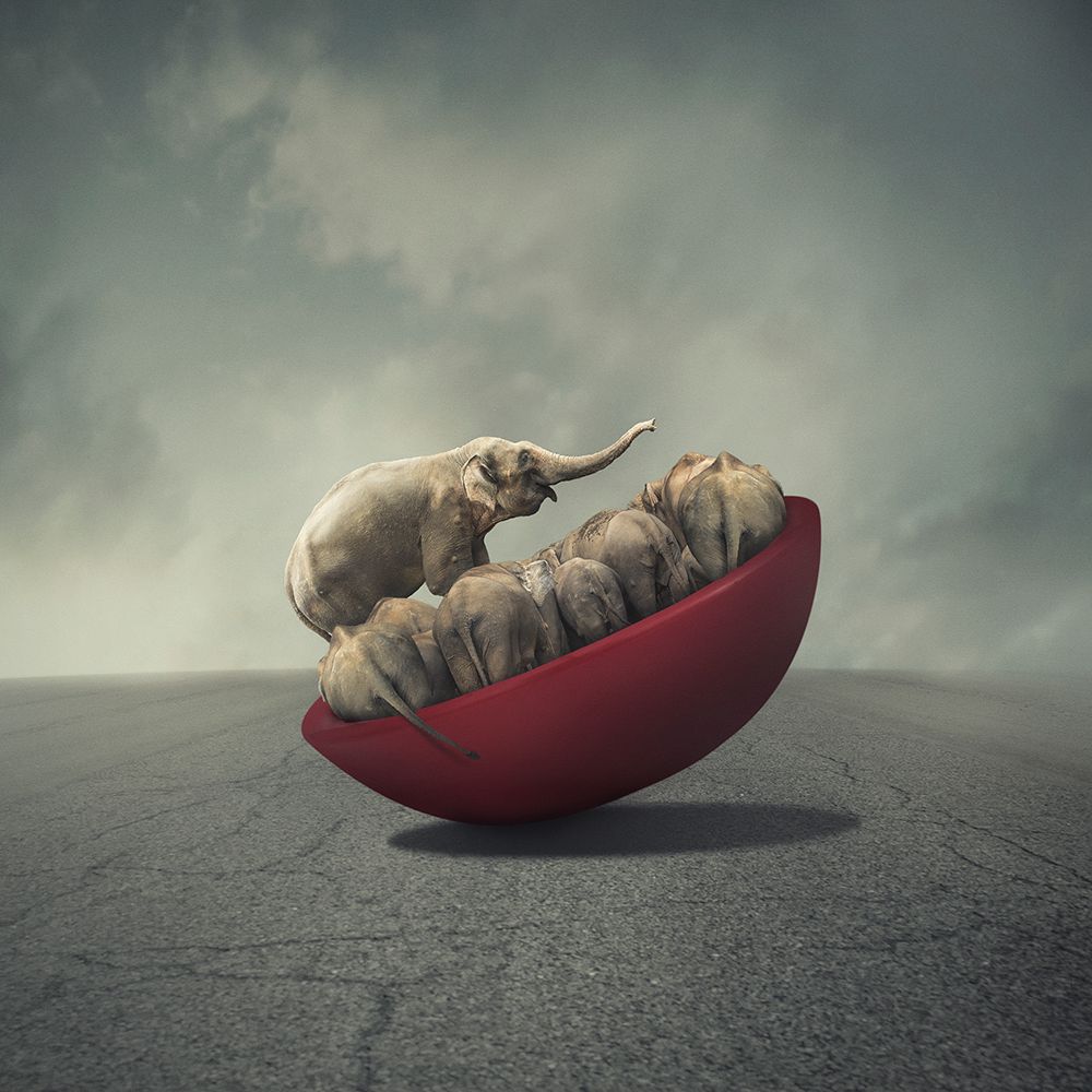 Art Print: Life Is A Balance