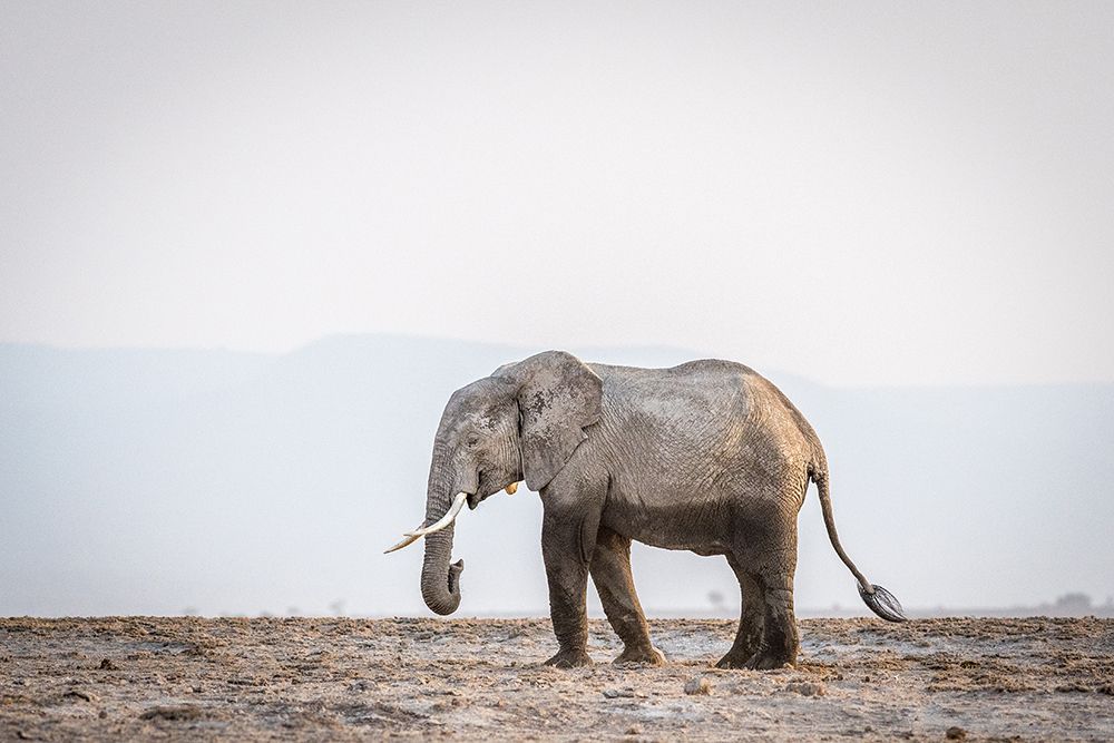 Art Print: Monochromatic color #2