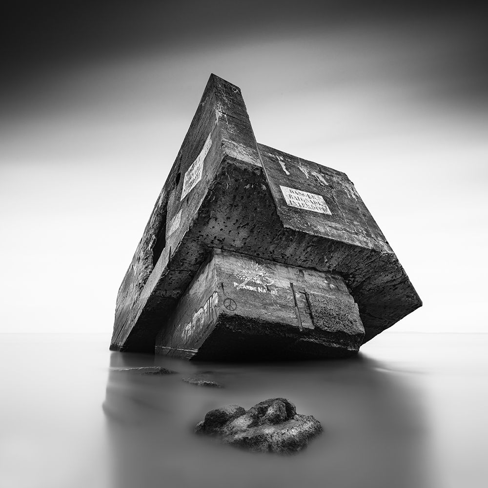 Art Print: In My Shadow