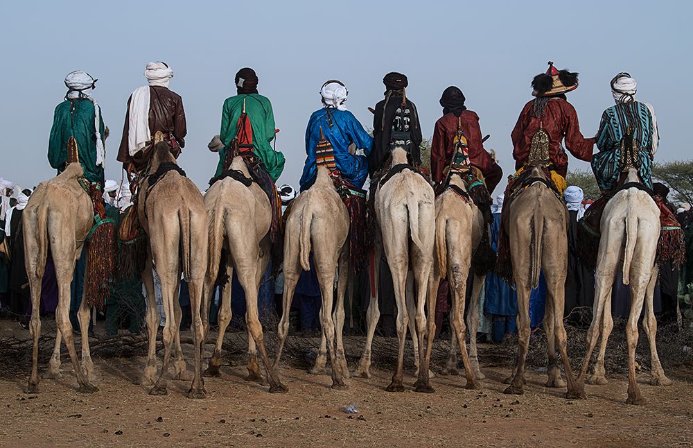 Wall Art Painting id:466174, Name: Watching The Gerewol Festival From The Camels - Niger, Artist: Inazio Kuesta, Joxe