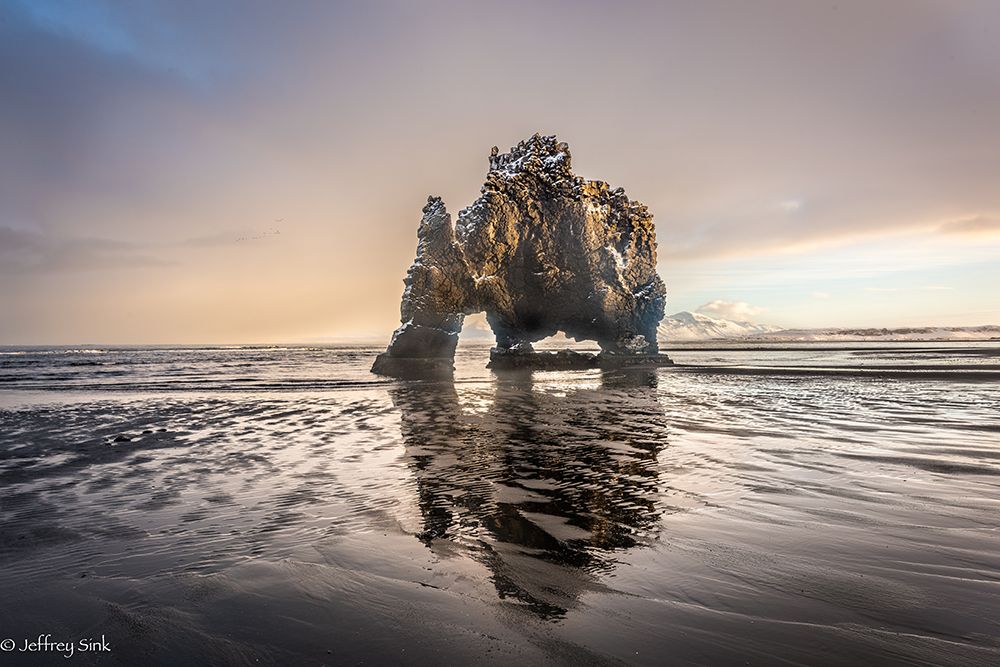 Art Print: Dinosaur Rock