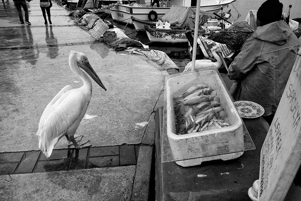 Similar wall art painting: 466416