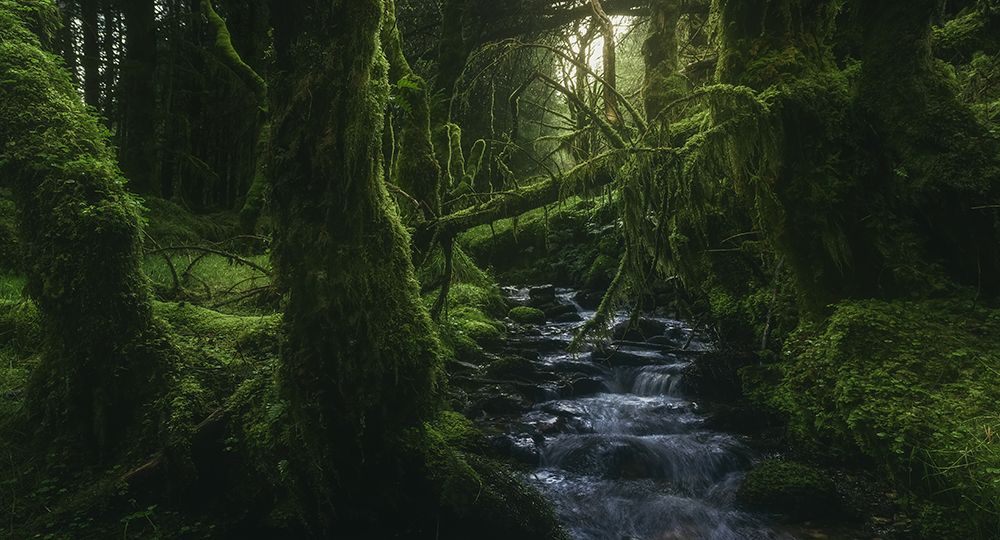 Similar wall art painting: 466686