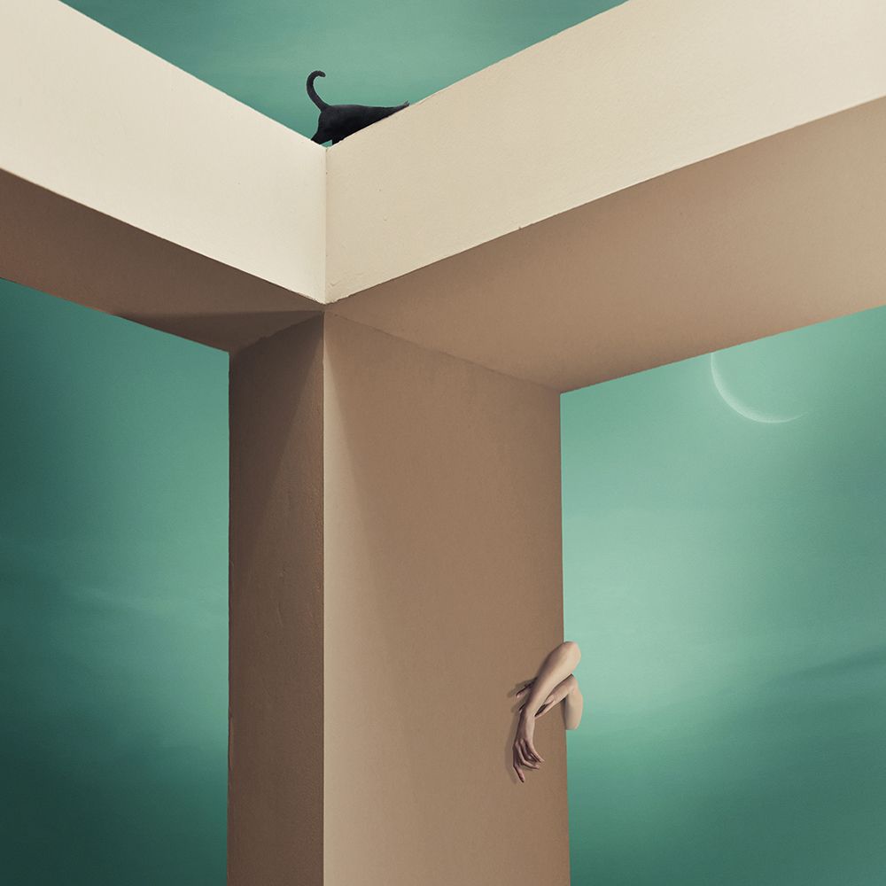 Art Print: Seek And Ye Shall Find  - Y