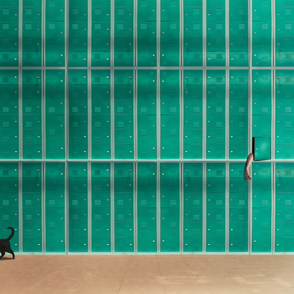 Art Print: Seek And Ye Shall Find  - Z