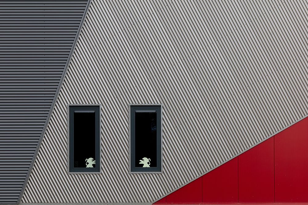 Art Print: The White Lions