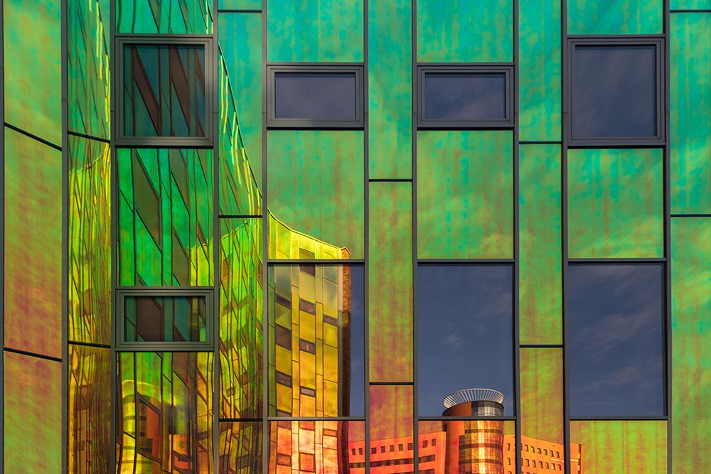 Art Print: The Neighbour