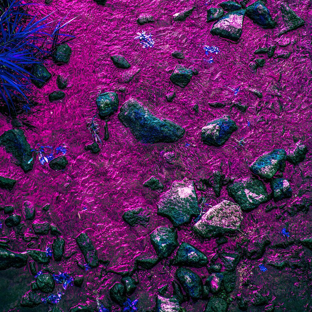 Wall art: Pink River, by Yang, Chunggook