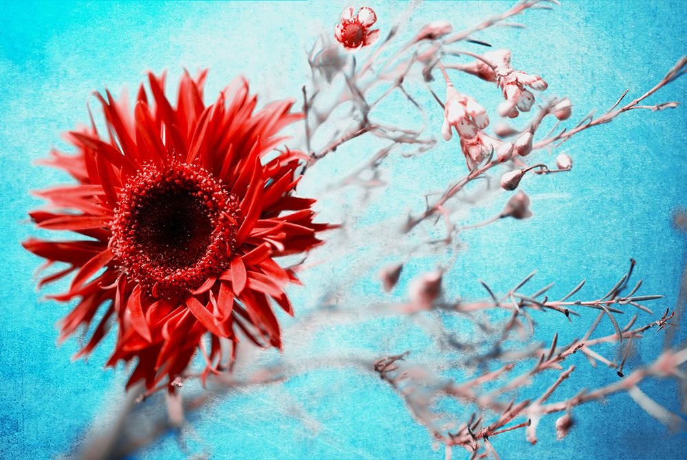 Similar wall art painting: 467338