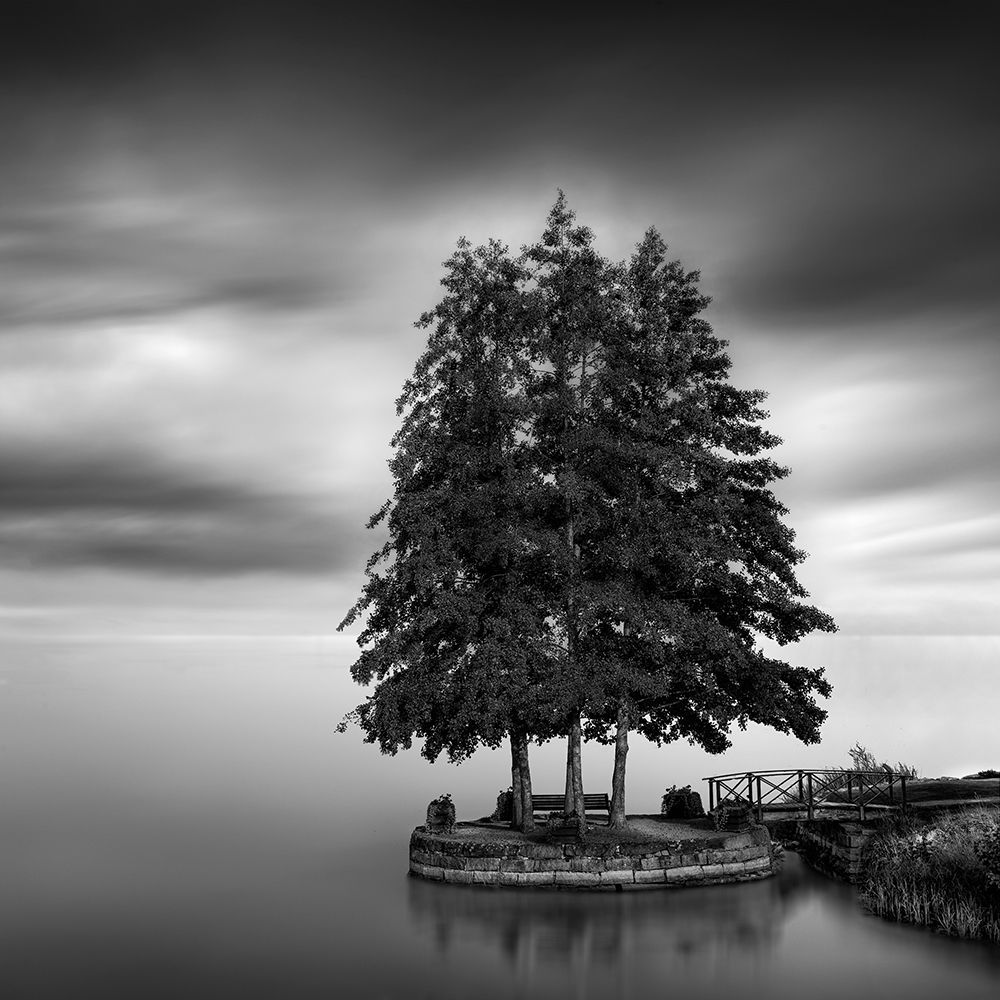 Art Print: Sweden Landscape