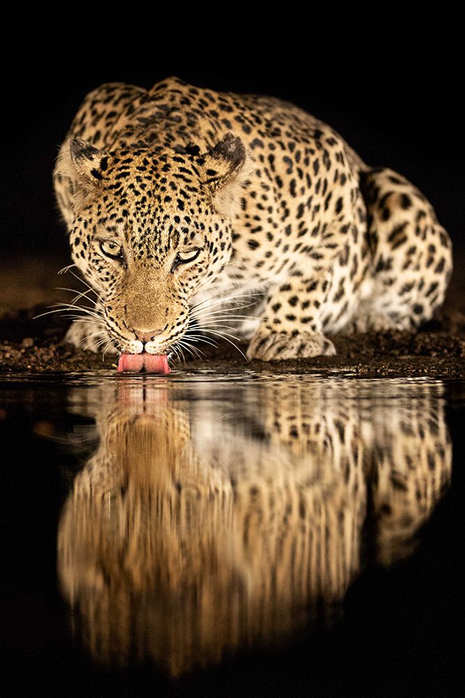 Similar wall art painting: 467871