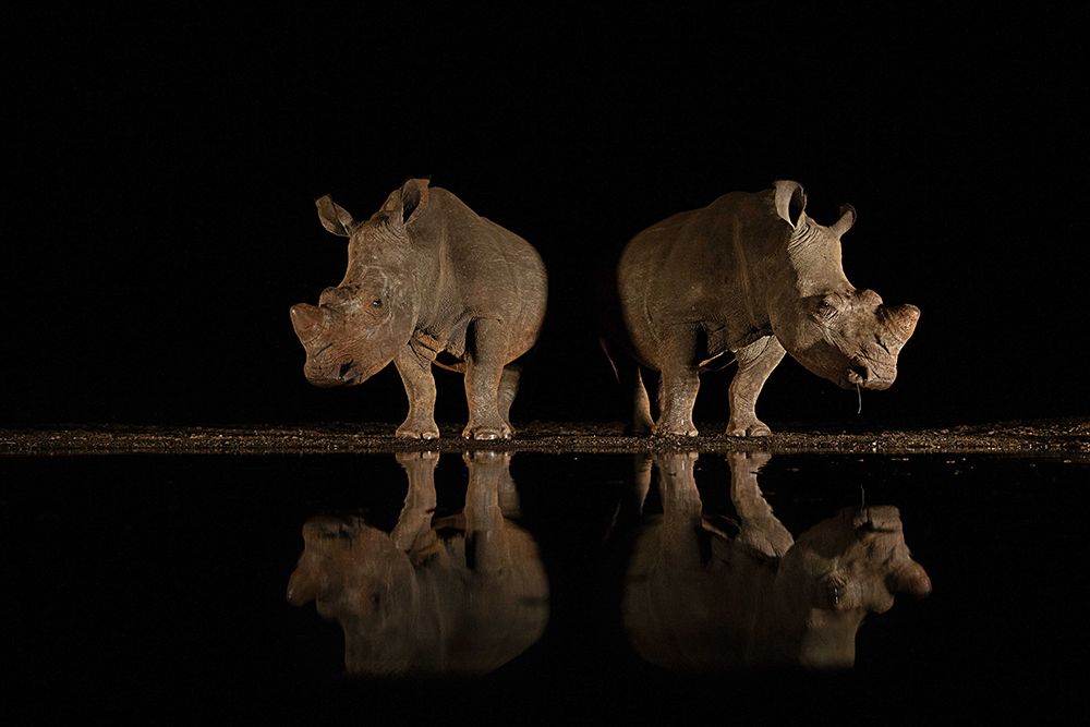 Wall Art Painting id:700522, Name: reflection, Artist: Eichelberg, Amnon