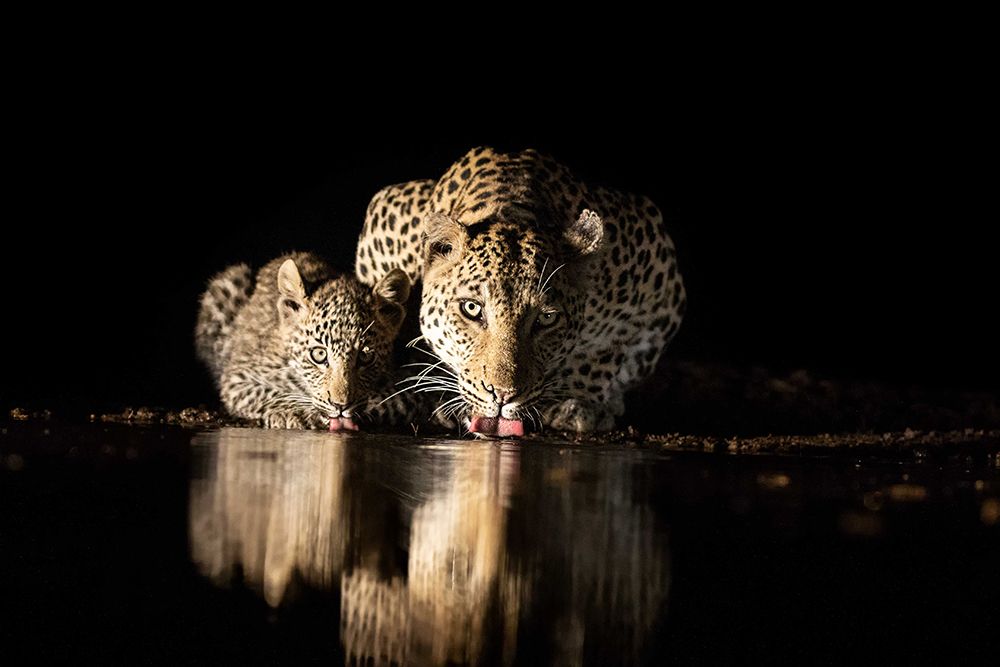 Similar wall art painting: 700536