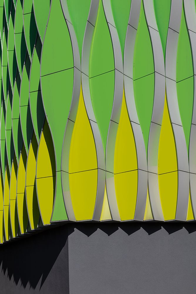 Art Print: The Shadow Side