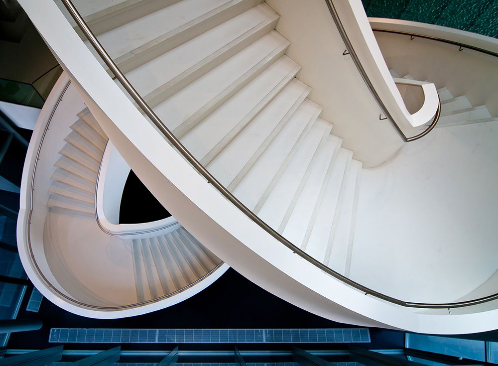 Art Print: Bird vieuw