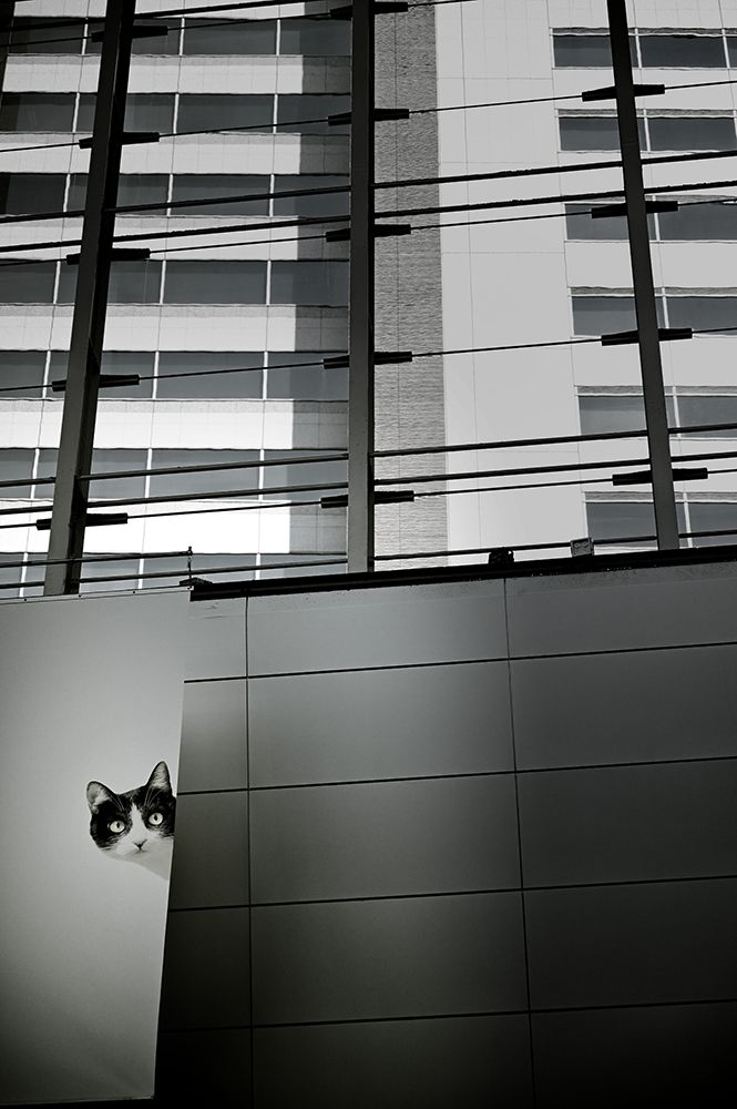 Art Print: By chance