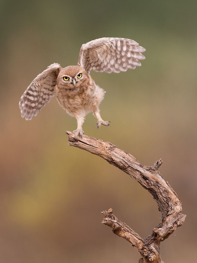 Similar wall art painting: 468280