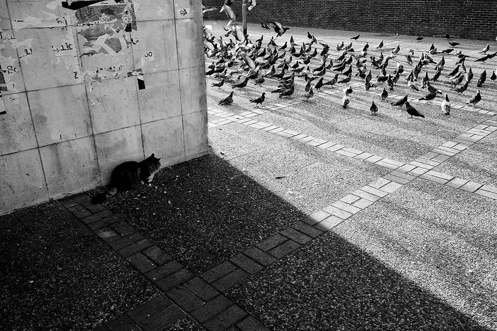 Similar wall art painting: 612517