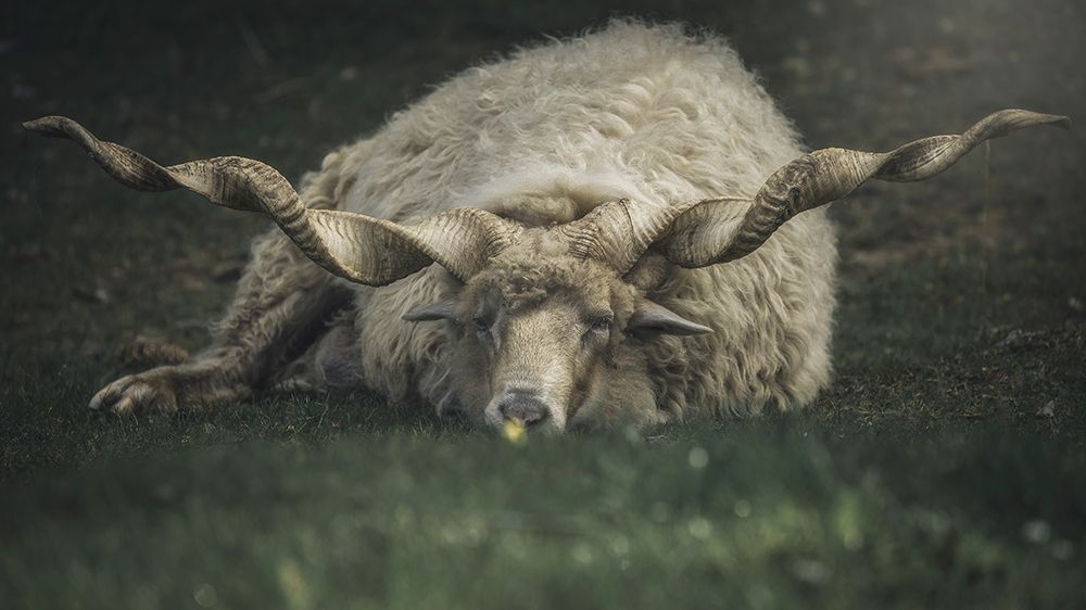 Art Print: Something On My Mind