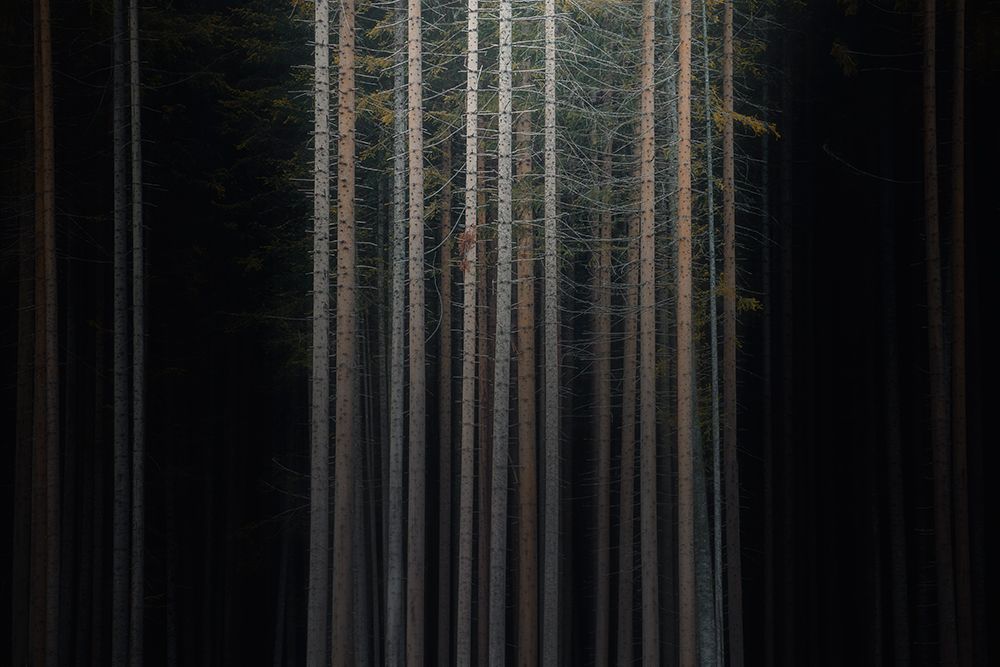 Art Print: Second Skin