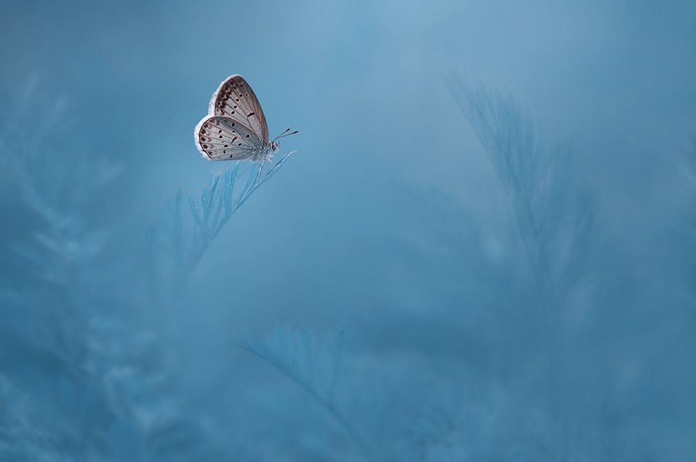 Similar wall art painting: 506266