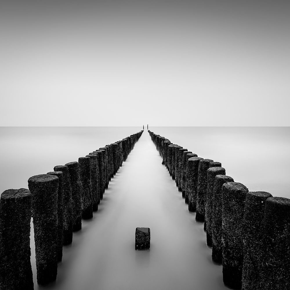 Art Print: Still Standing