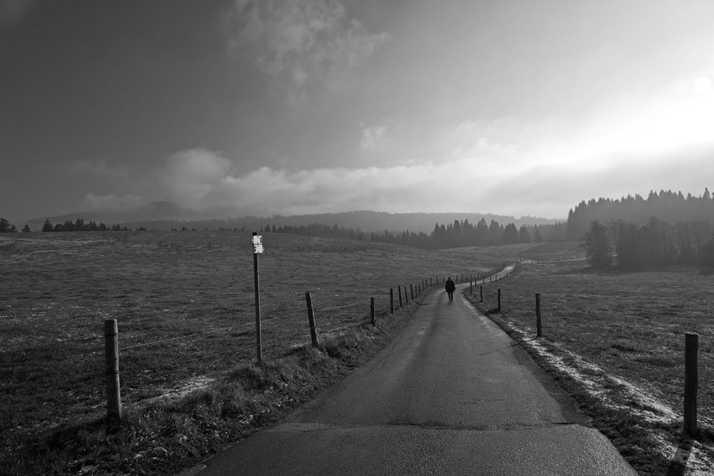 Wall art: Winter Is Coming Soon, by Peter Rank, Hans