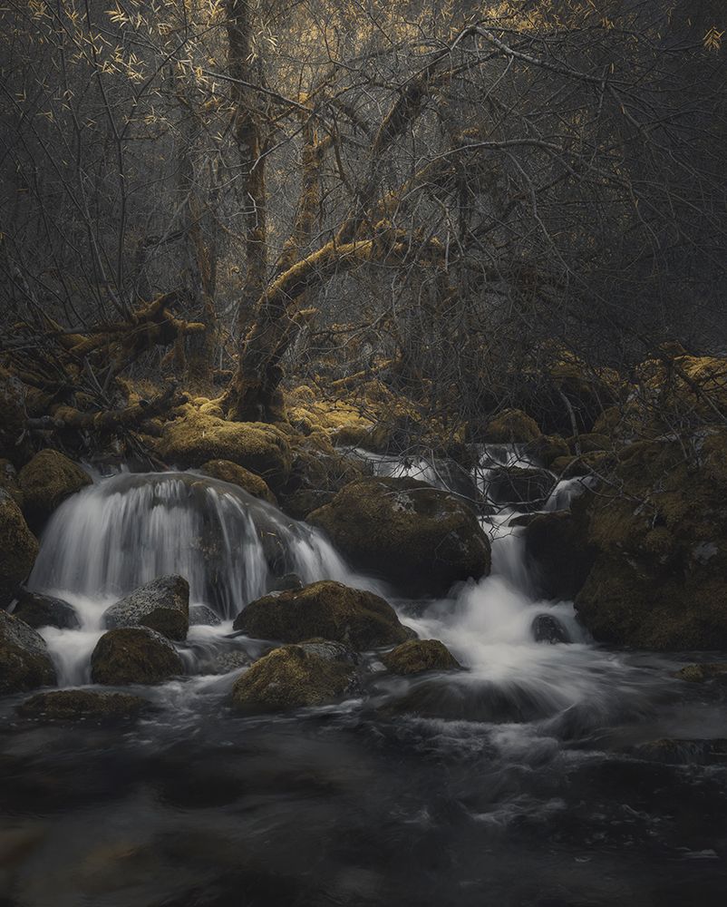 Art Print: La Gloria