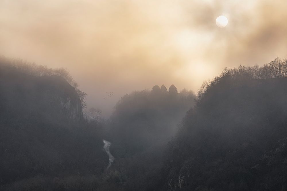 Similar wall art painting: 612850