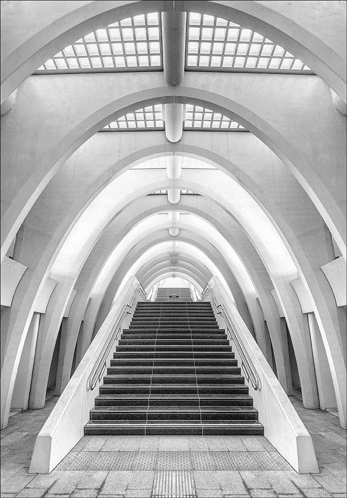 Art Print: Calatrava lines