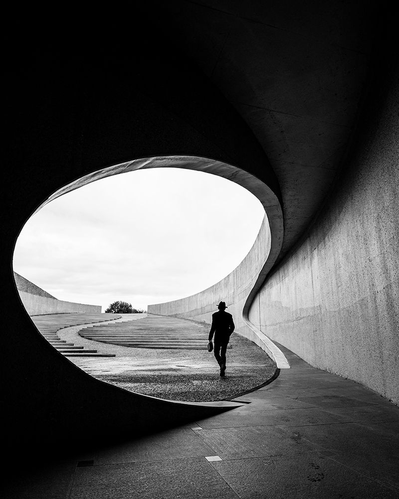 Wall art: eaten by the whale, by Steenhoudt, Sofie