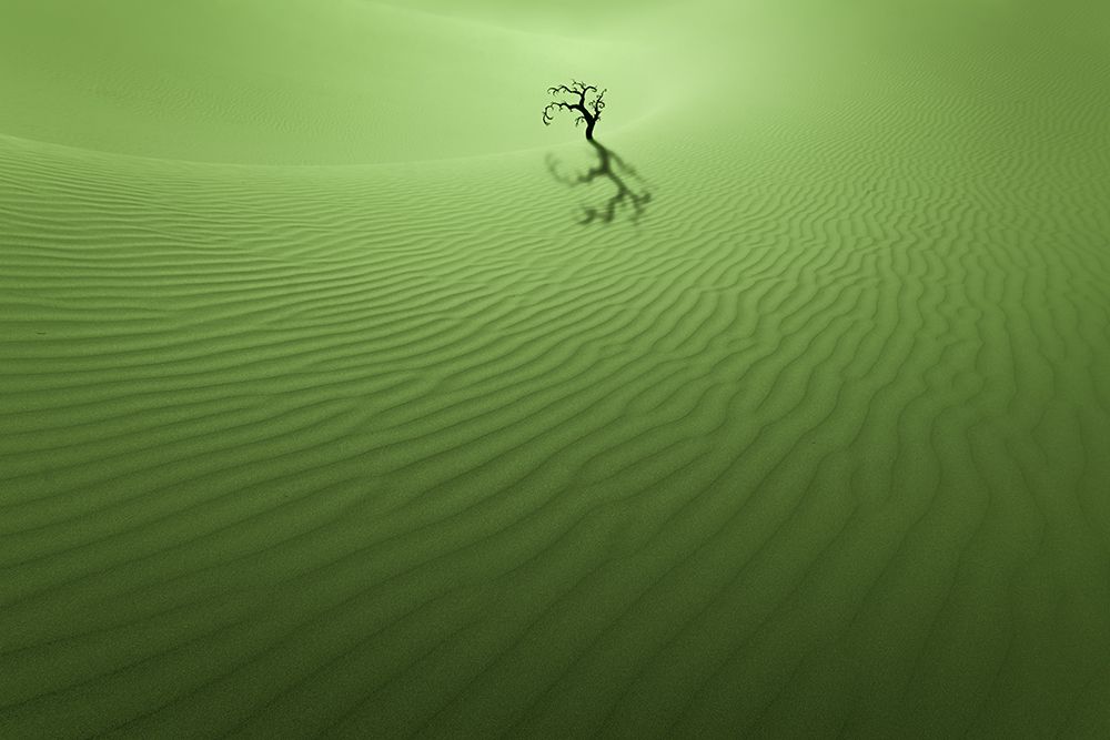 Similar wall art painting: 500240