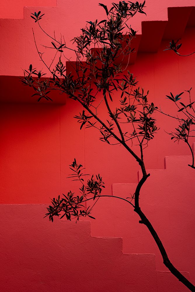 Art Print: Muralla Roja #14