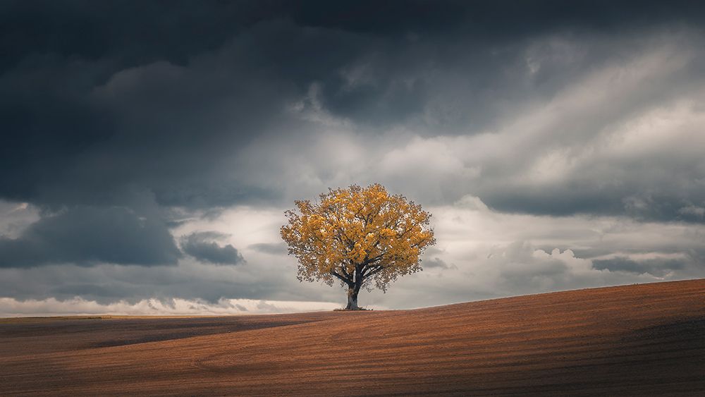 Art Print: Loneliness