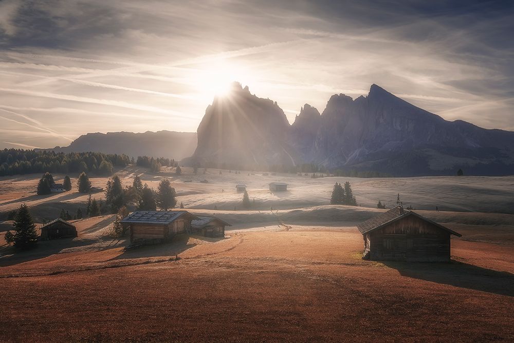 Art Print: Sweet Dreams