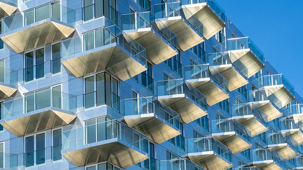 Art Print: Free View