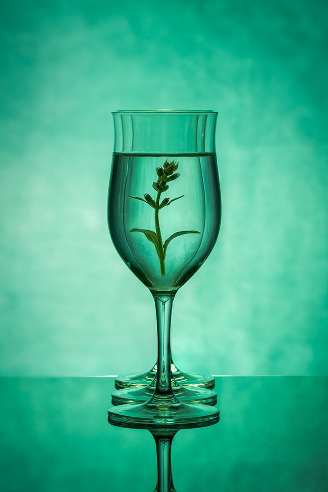 Art Print: Green Glass