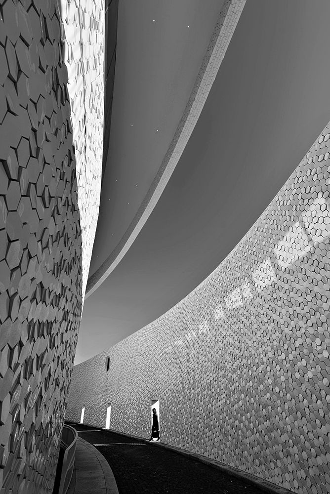 Art Print: The Journey